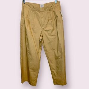 NWT UO Urban Outfitters BDG Pleated Chino Pants Wide Leg Tan Size 16